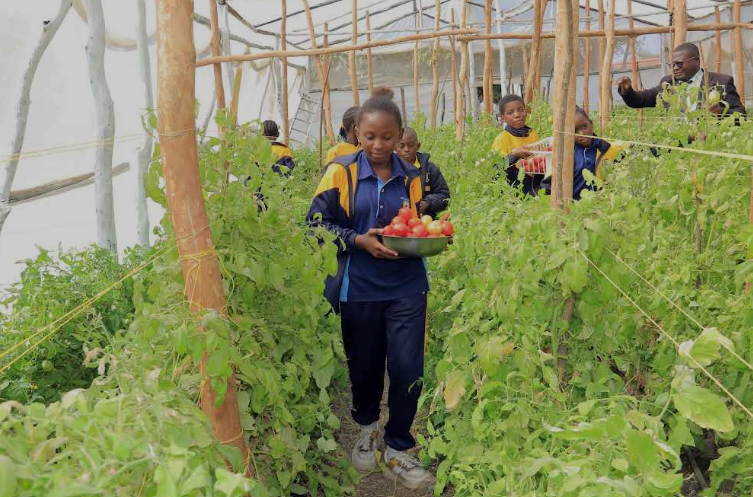 Agricultural Education